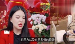 天真直播爆料视频大全在线观看,揭秘幕后真相，带你领略直播界的风云变幻